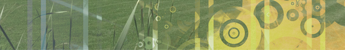 banner-3