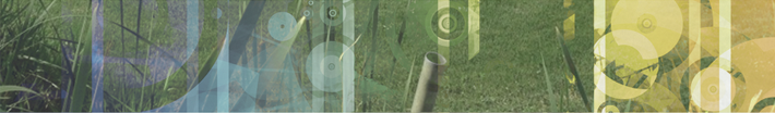 banner-4