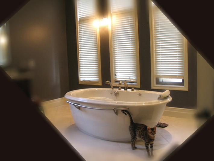 conrad-bathroom